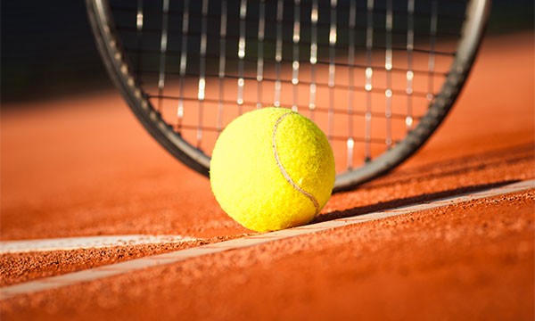 Navette en minibus privé à Roland GARROS